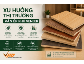 Ván ép phủ veneer - Xu hướng tương lai