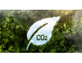 Chứng chỉ Carbon - Cơ hội và thách thức